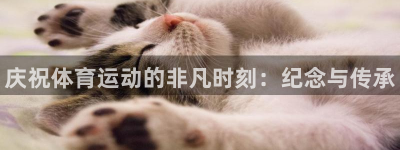 杏耀电子有限公司