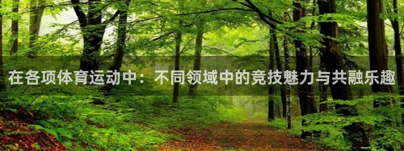 杏耀体育用品