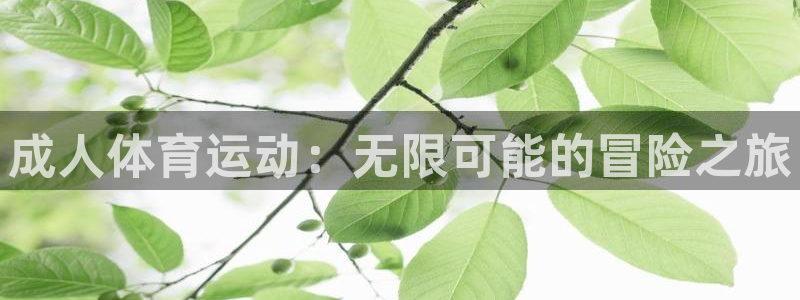 杏耀体育论坛