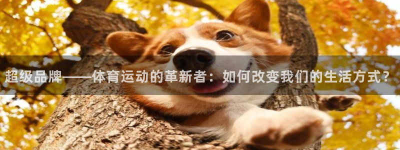杏耀登录注册