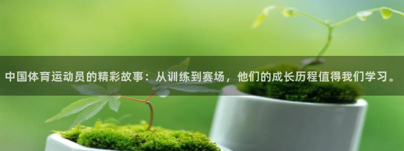 杏耀账号官网登录