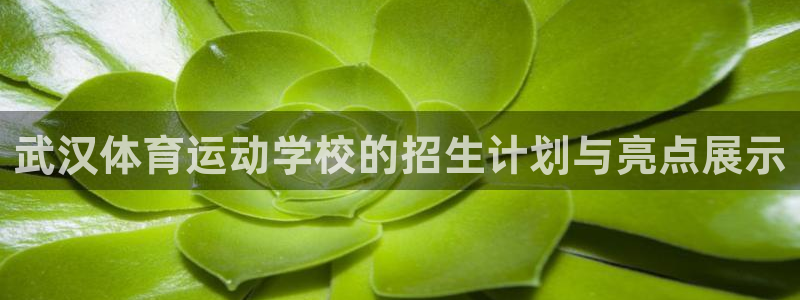 杏耀主管