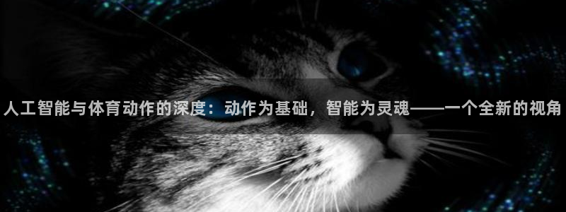 杏耀招商