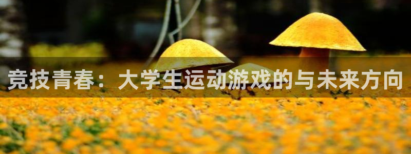 杏耀凯捷注册