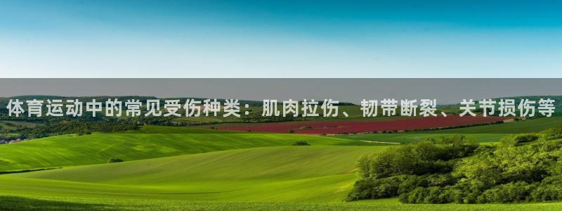 杏耀3平台登录注册