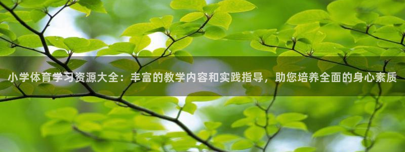 杏耀平台登录