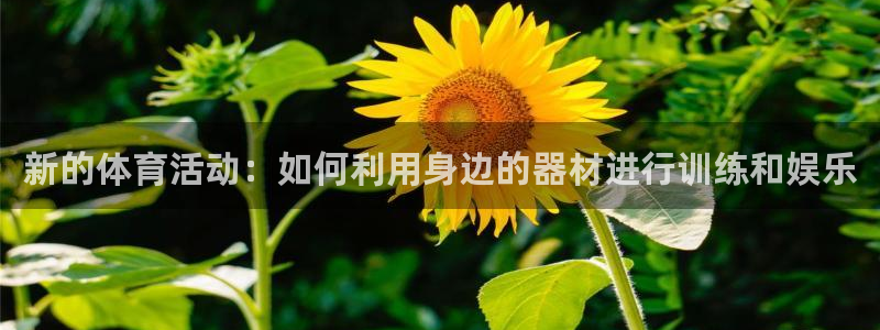 杏耀体育3在线注册
