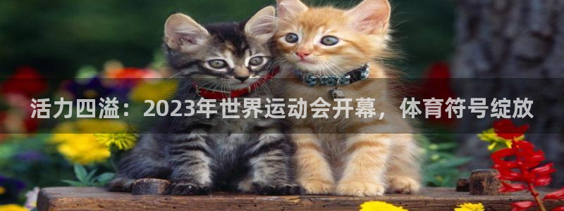 杏耀3登录