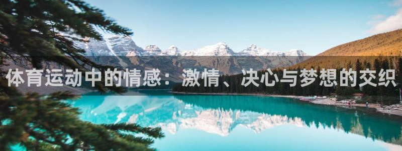 杏耀体育热门赛事有哪些