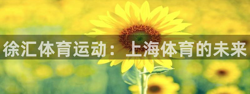 杏耀体育凯捷平台代理
