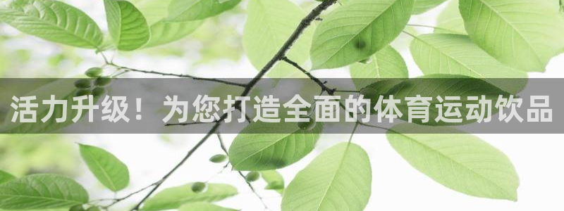 杏耀3代理