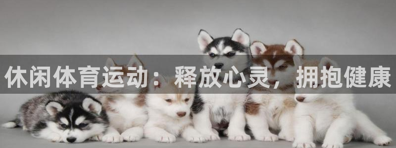 杏耀app登录
