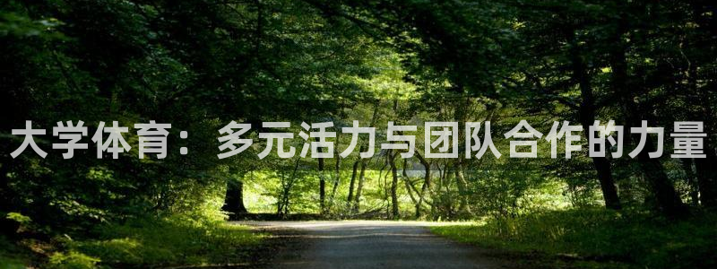 杏耀体育代理