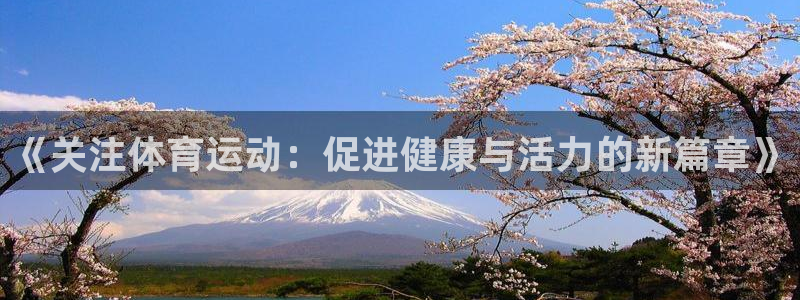 杏耀测速登录地址