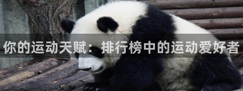www.杏耀体育.com