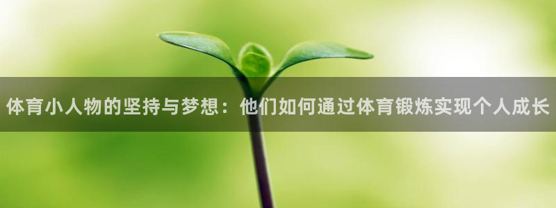 杏耀体育平台注册