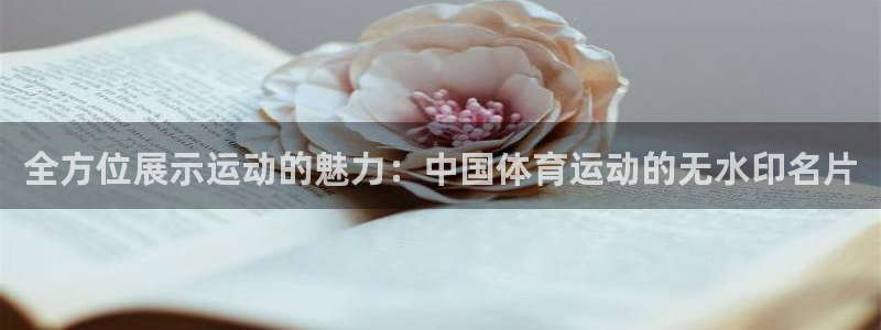 杏耀代理